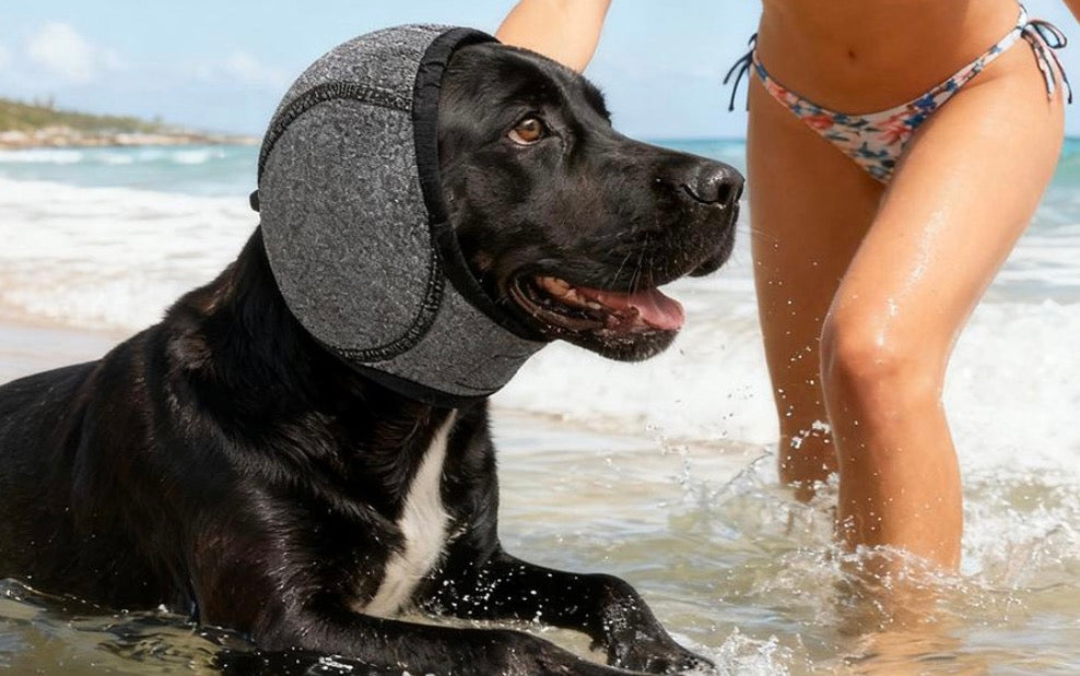 Protector de orejas para tu mascota