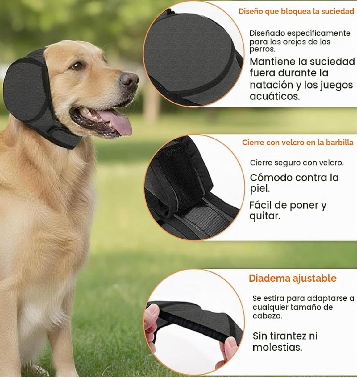 Protector de orejas para tu mascota